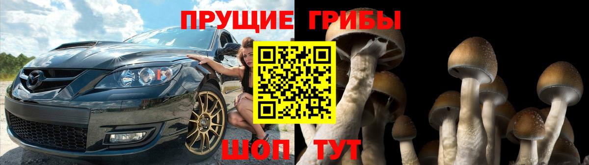 Урус-Мартан  Галлюциногенные грибы ЛСД  Псилоцибиновые грибы MAGIC MUSHROOMS  Вход с VPN 
